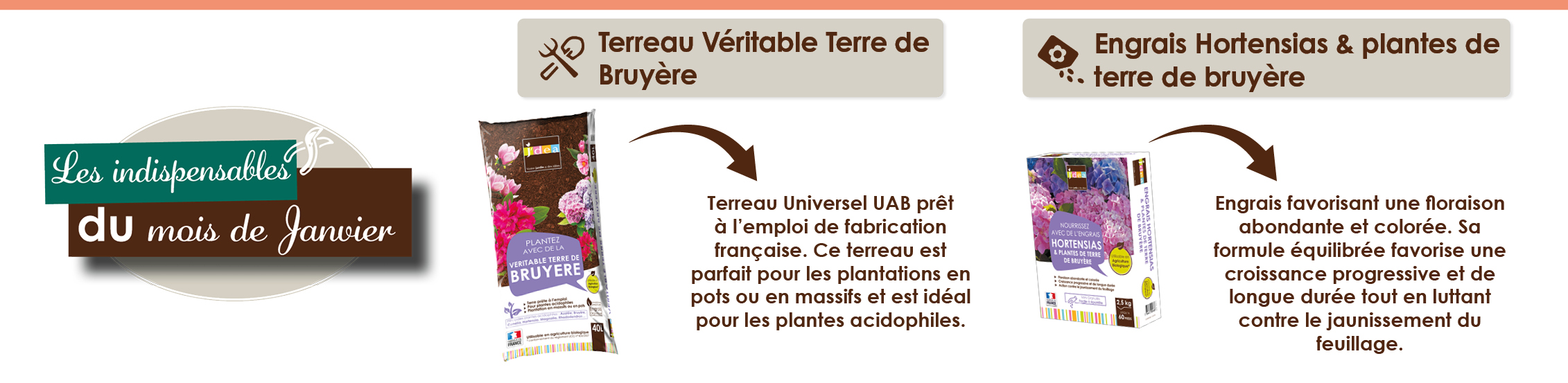 L'agenda du Jardinier de Février | Jardin | Actualités